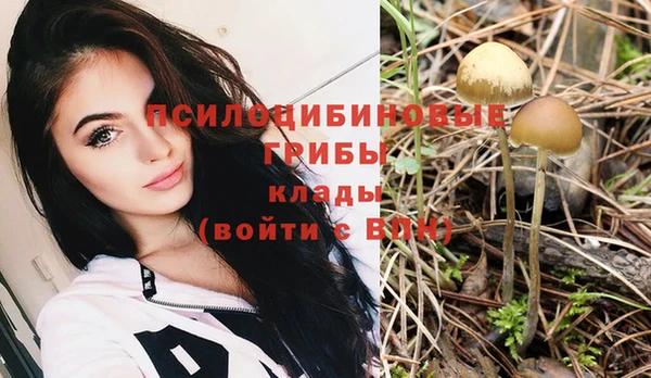 каннабис Абаза