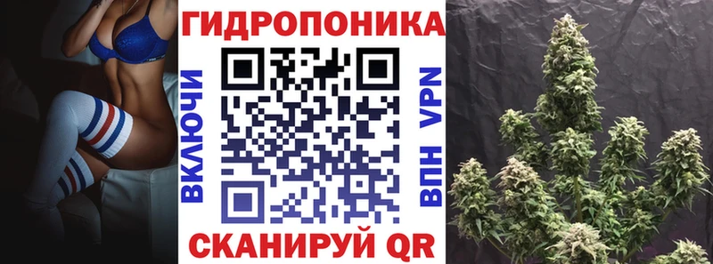 блэк спрут как зайти  Беломорск  Канабис OG Kush 